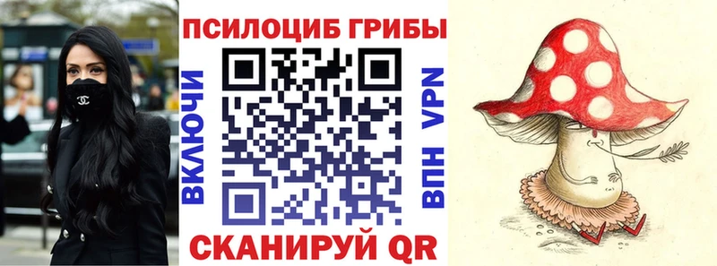 Псилоцибиновые грибы MAGIC MUSHROOMS  kraken онион  Игарка 